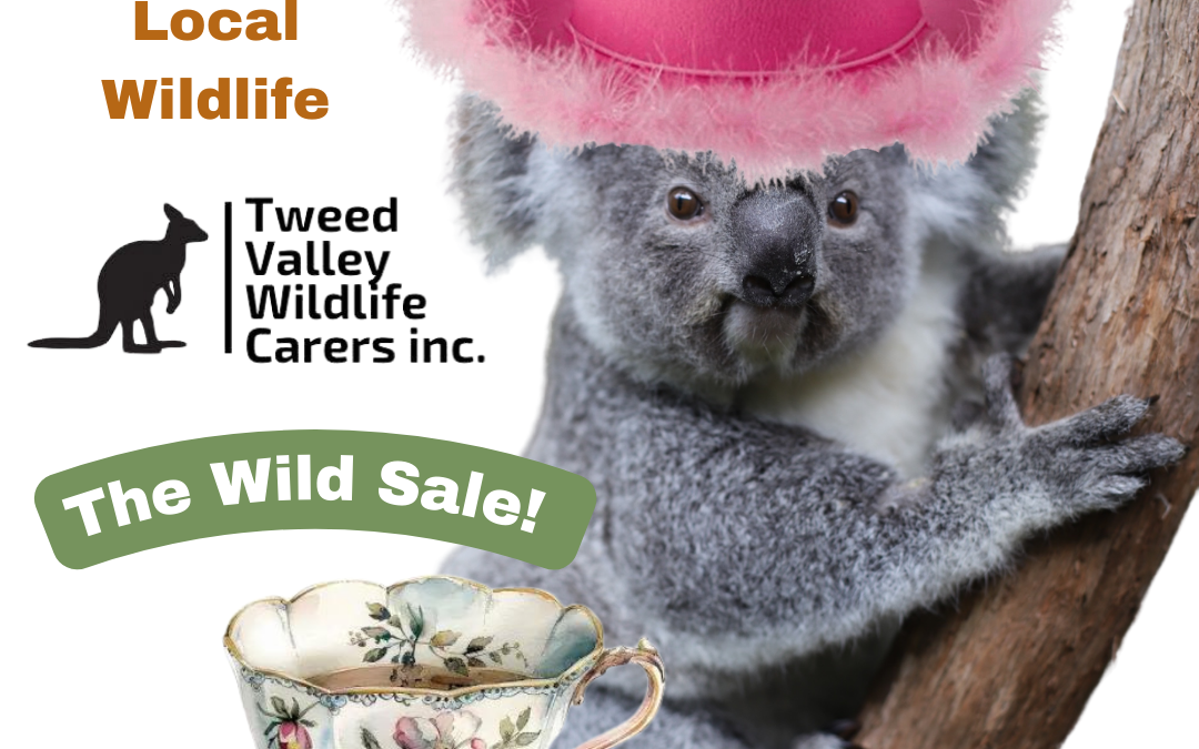 The Wild Sale! Support Tweed Valley Wildlife